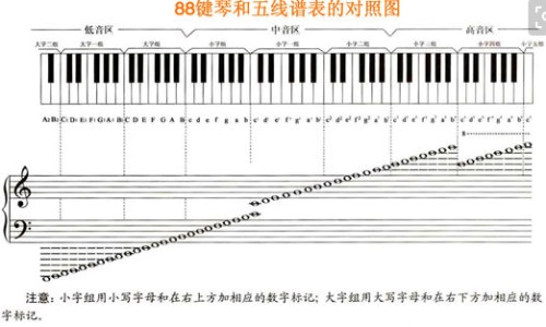 抽烟吃什么食物清肺排毒-【吸烟者吃什么食物清肺排毒】抽烟的人吃什么 - 抽烟人吃什么食物清肺网